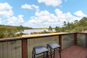 Buy Tassie ecotourism